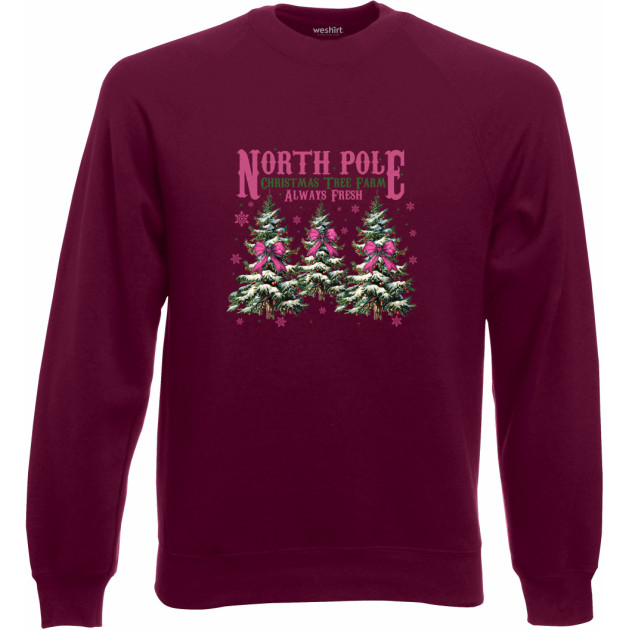 Суитшърт "North Pole"